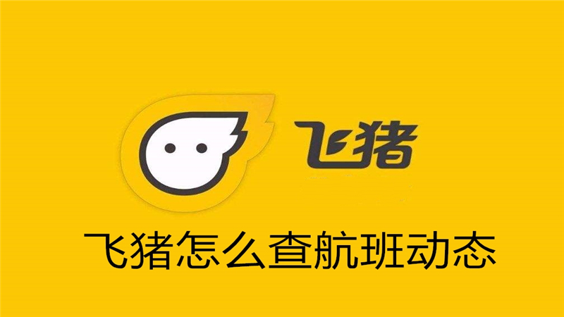 飞猪怎么查航班动态