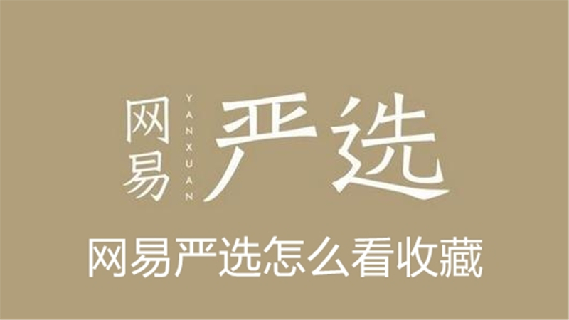 网易严选怎么看收藏