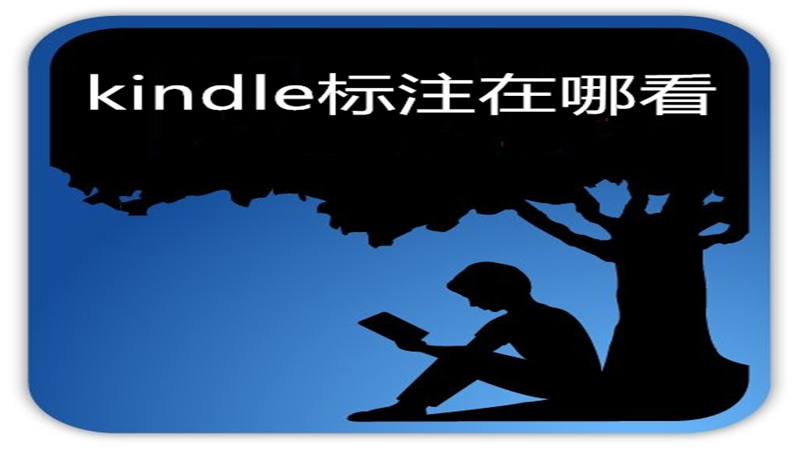 kindle标注在哪看