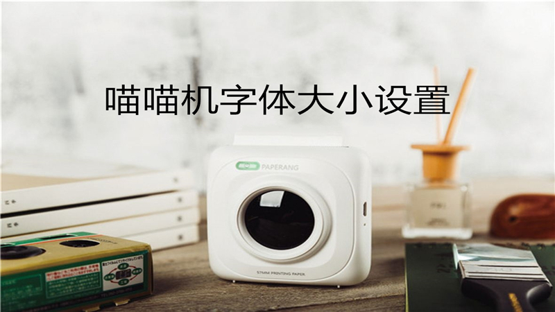 喵喵机字体大小设置