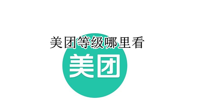美团等级哪里看