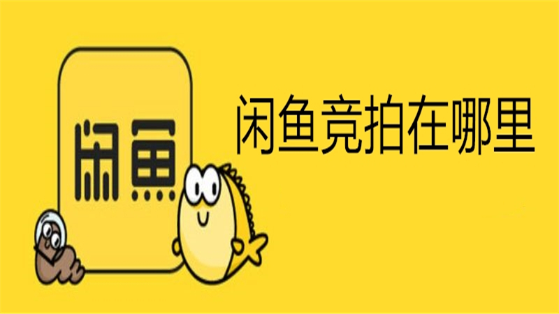 闲鱼竞拍在哪里