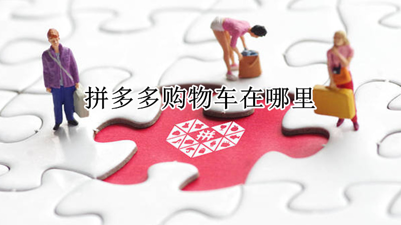 拼多多购物车在哪里
