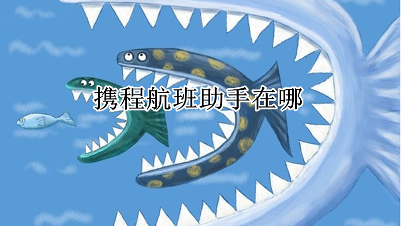 携程航班助手在哪