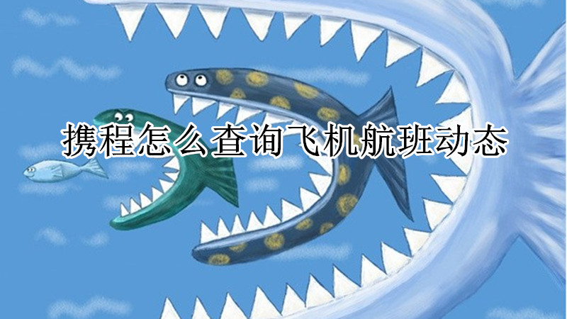 携程怎么查询飞机航班动态