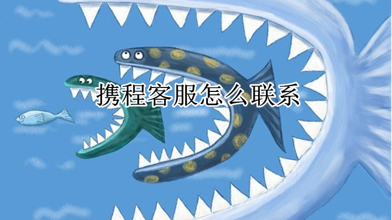 携程客服怎么联系