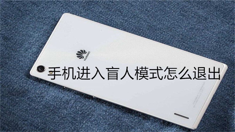 手机进入盲人模式怎么退出