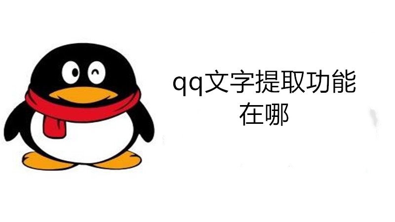 qq文字提取功能在哪