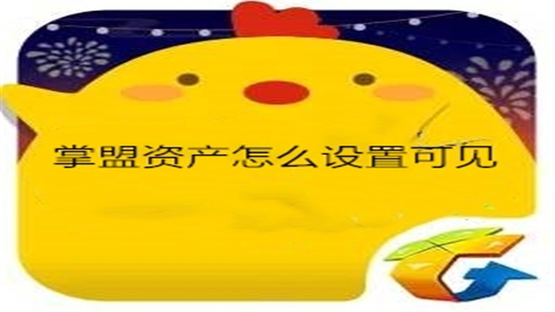 掌盟资产怎么设置可见