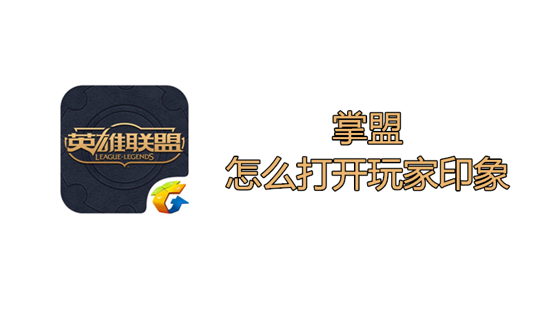 掌盟怎么打开玩家印象