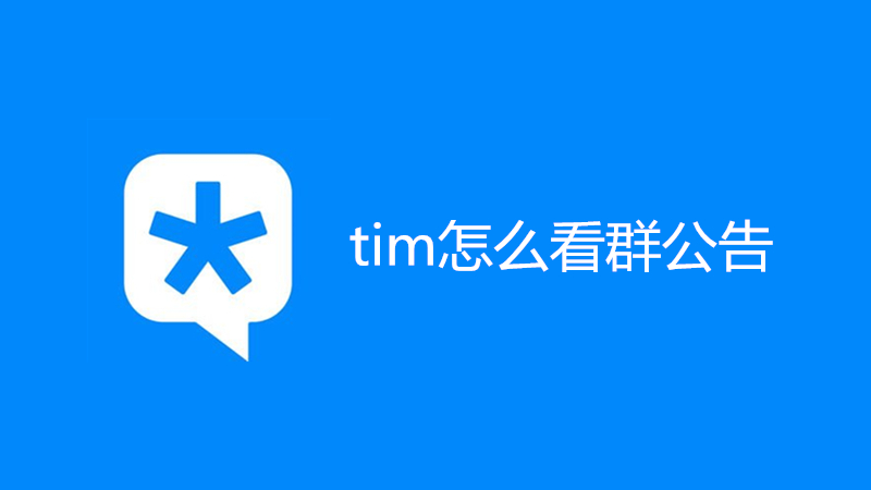 tim怎么看群公告