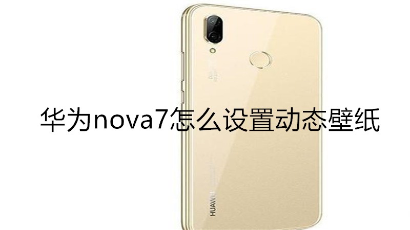 华为nova7怎么设置动态壁纸