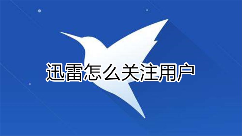 迅雷怎么关注用户