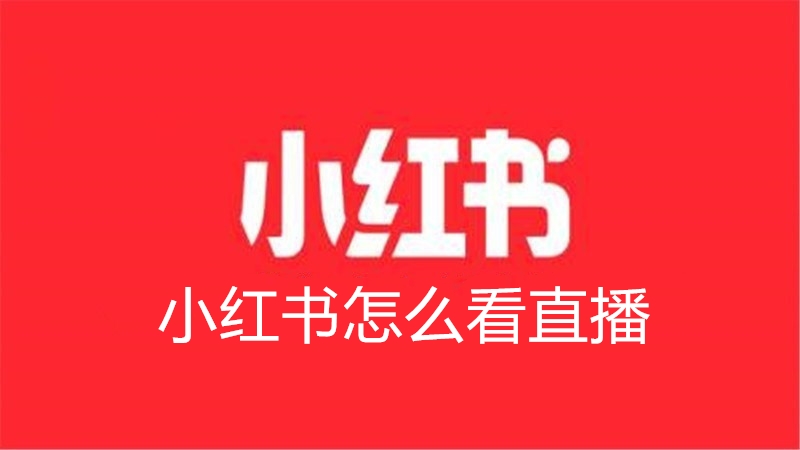 小红书怎么看直播