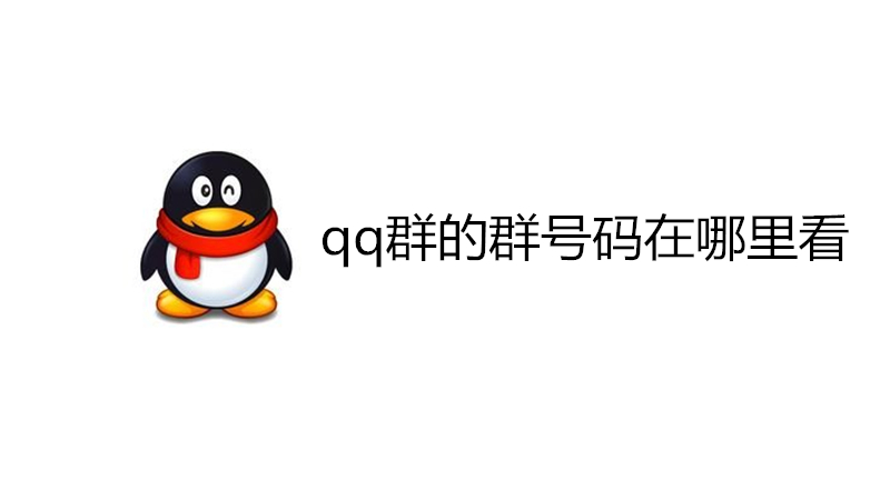 qq群的群号码在哪里看