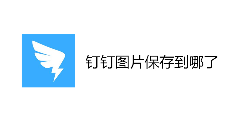 钉钉图片保存到哪了