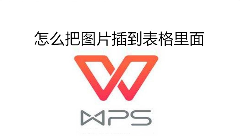 怎么把图片插到表格里面