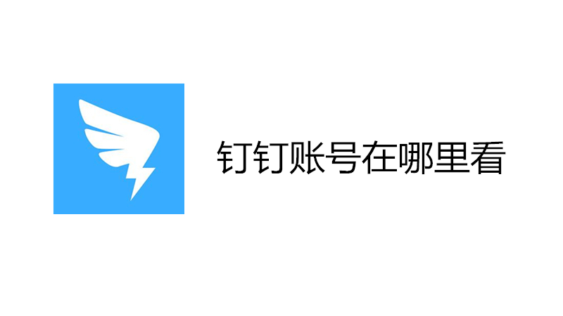 钉钉账号在哪里看