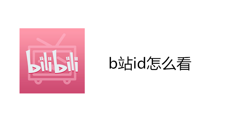 b站id怎么看