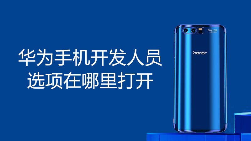 华为手机开发人员选项在哪里打开