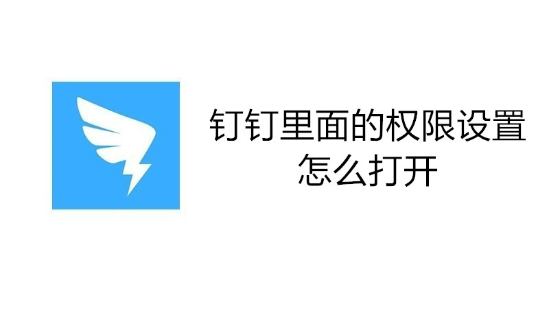 钉钉里面的权限设置怎么打开