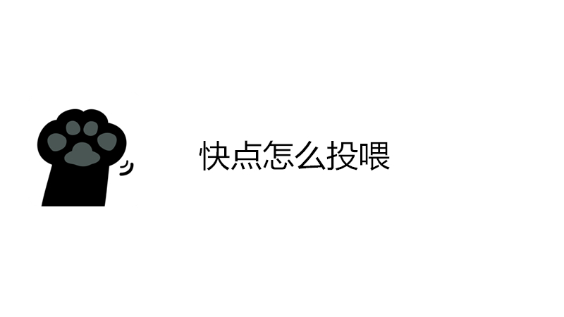 快点怎么投喂