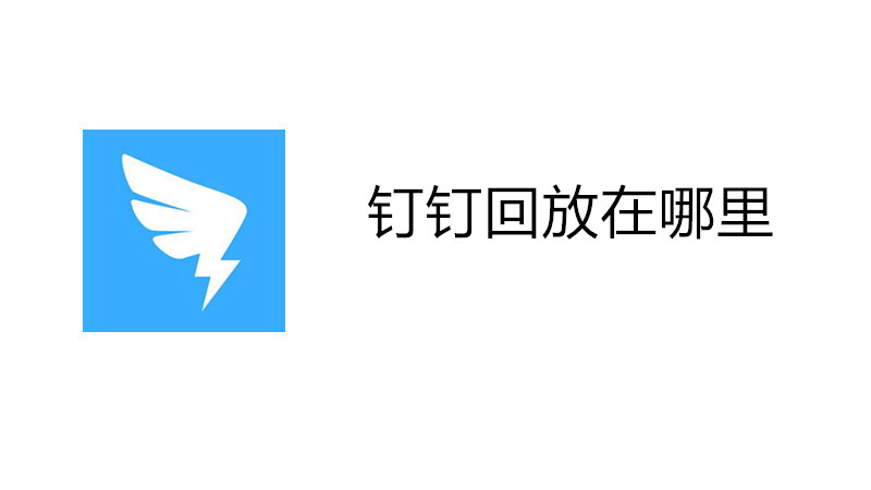 钉钉回放在哪里