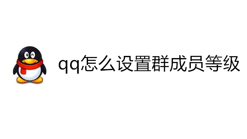 qq怎么设置群成员等级