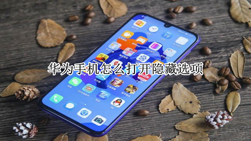 华为手机怎么打开隐藏选项