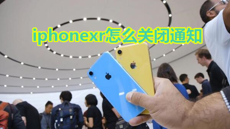 iphonexr怎么关闭通知