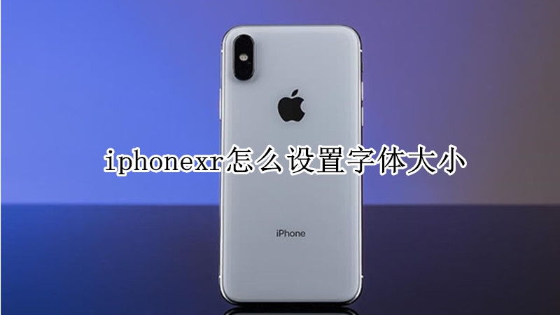 iphonexr怎么设置字体大小