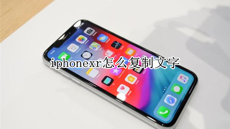 iphonexr怎么复制文字