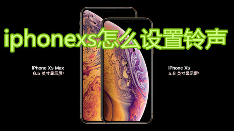 iphonexs怎么设置铃声