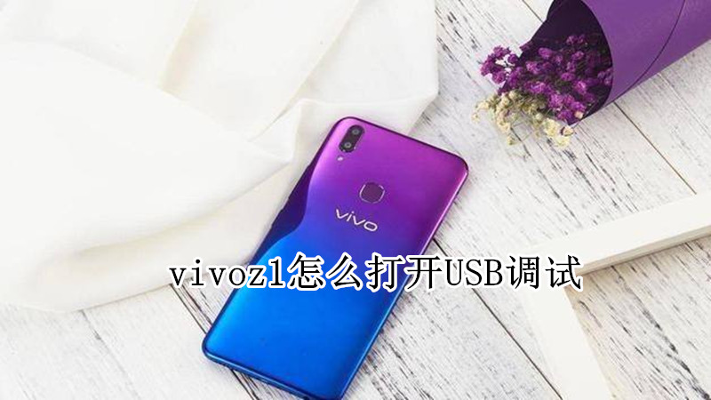 vivoz1怎么打开USB调试