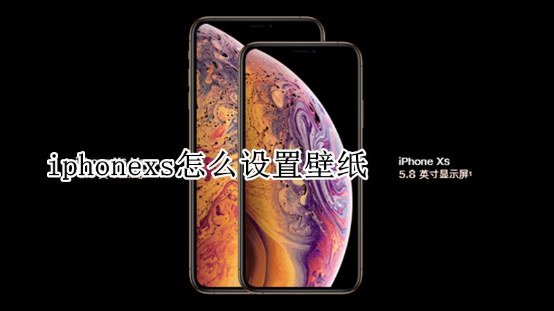 iphonexs怎么设置壁纸