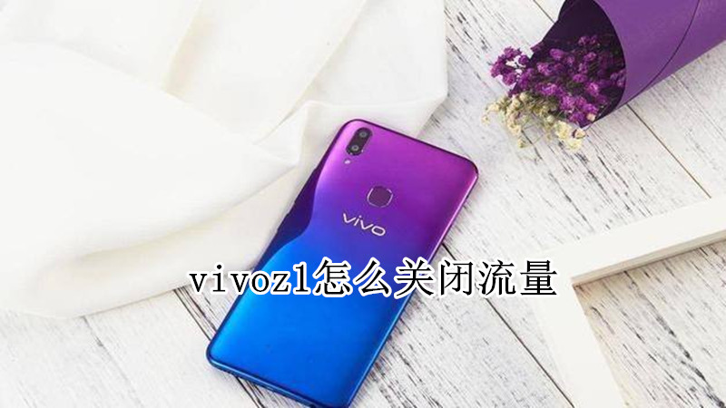 vivoz1怎么关闭流量