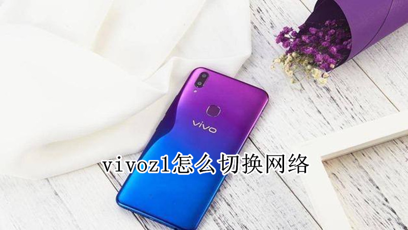 vivoz1怎么切换网络