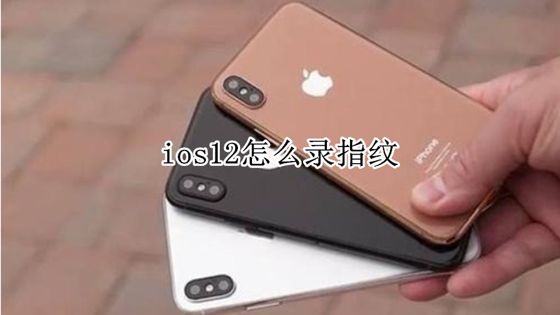 ios12怎么录指纹