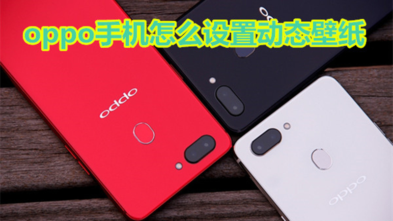 oppo手机怎么设置动态壁纸