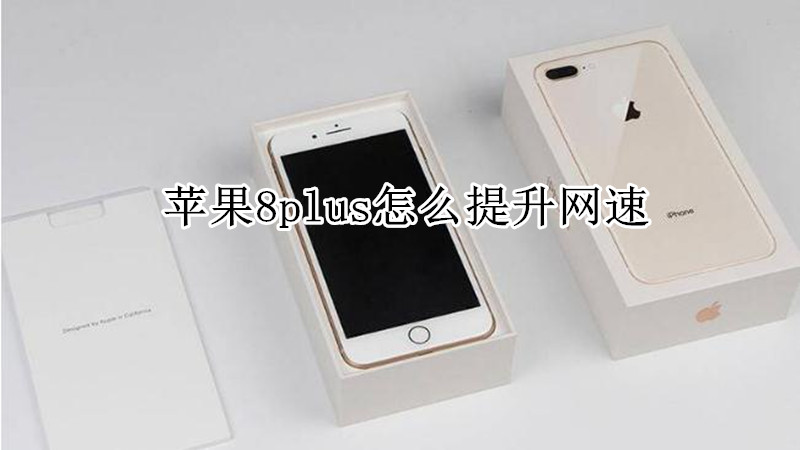 苹果8plus怎么提升网速