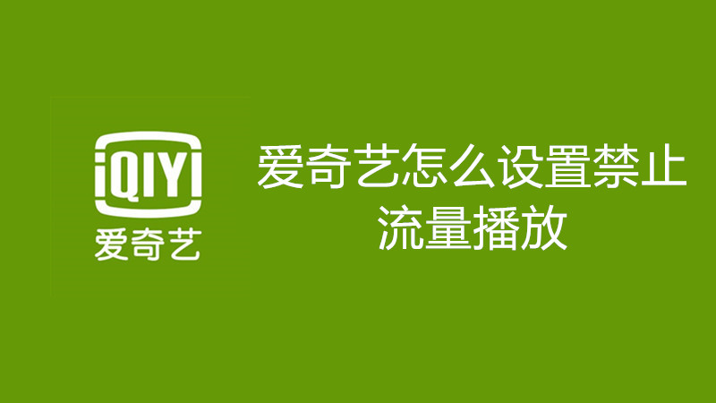 爱奇艺怎么设置禁止流量播放