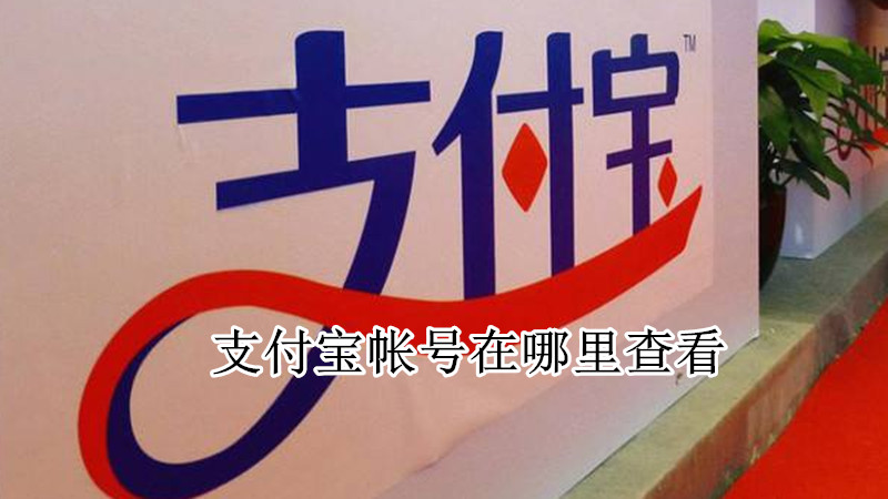 支付宝帐号在哪里查看