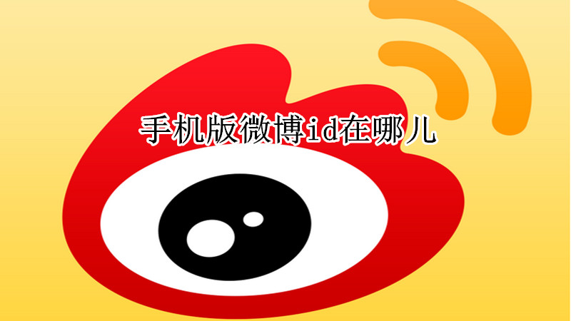 手机版微博id在哪儿