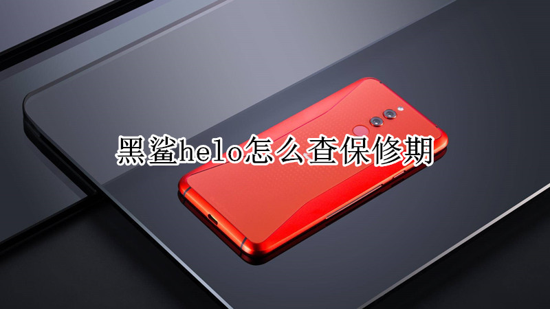 黑鲨helo怎么查保修期