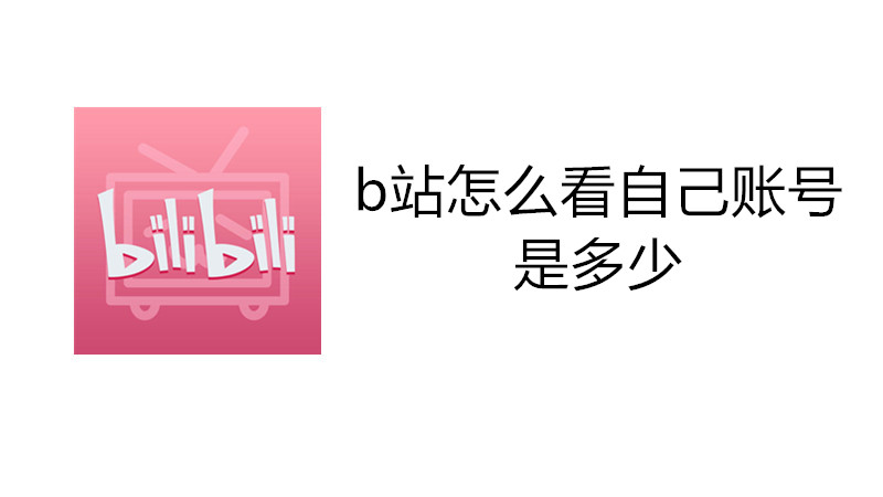 b站怎么看自己账号是多少