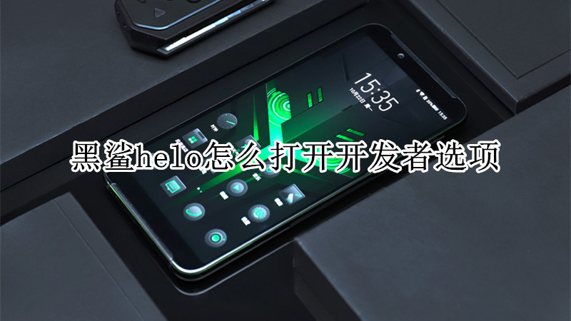 黑鲨helo怎么打开开发者选项