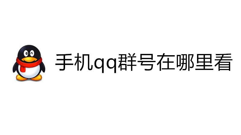 手机qq群号在哪里看