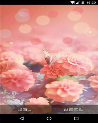 应用截图