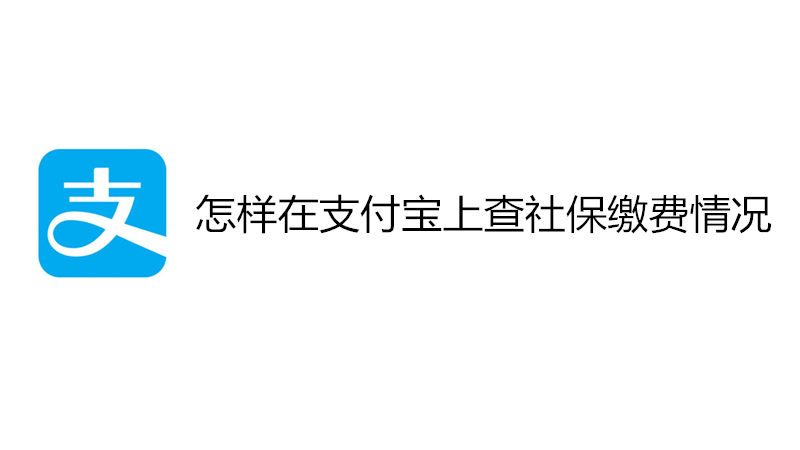 怎样在支付宝上查社保缴费情况