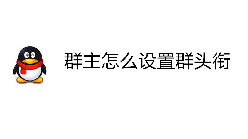 群主怎么设置群头衔